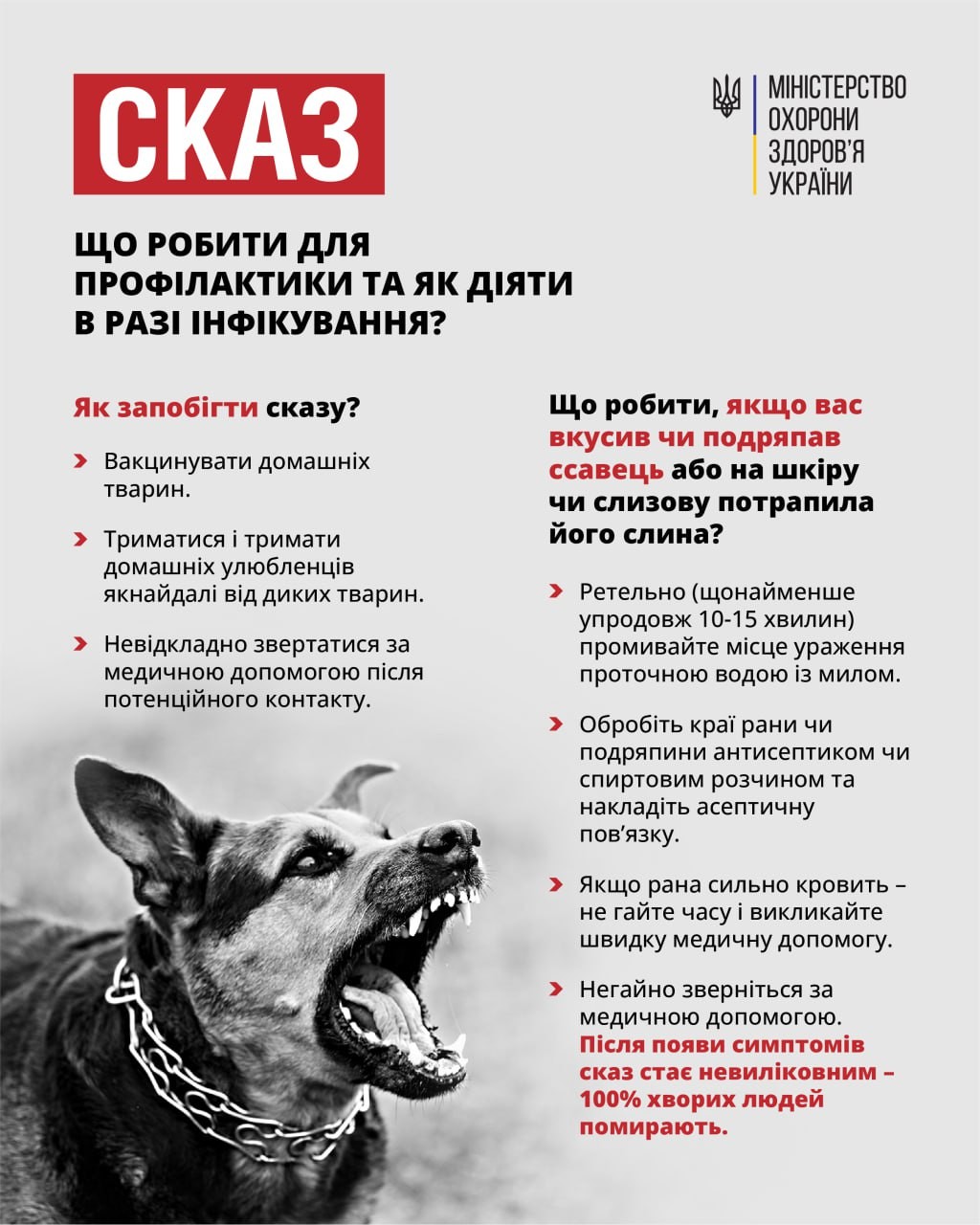 Сказ