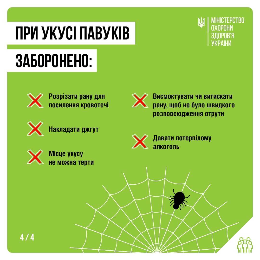 ДОМЕДИЧНА ДОПОМОГА ПРИ УКУСІ ПАВУКІВ