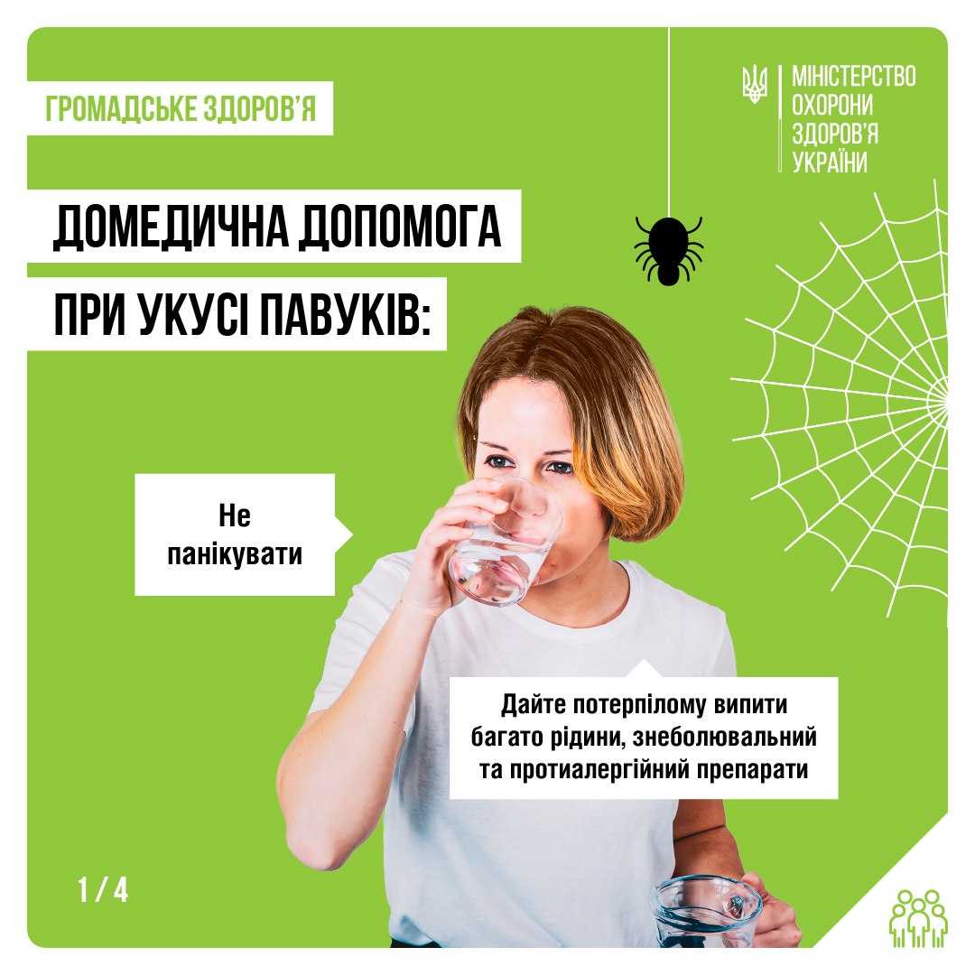 ДОМЕДИЧНА ДОПОМОГА ПРИ УКУСІ ПАВУКІВ