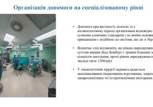 prezentatsiia-zakordonne-vidriadzhennia_dlia-sajta_page-0021